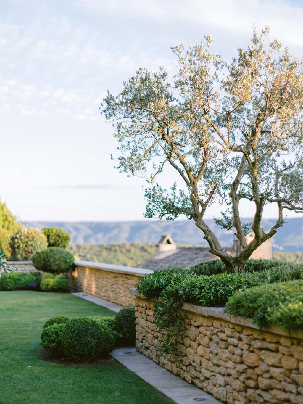 Bastide de Gordes olivier in the sunset - Wedding Planner Provence